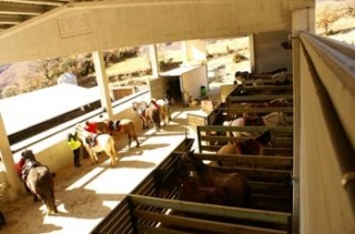 Nuestras caballerizas